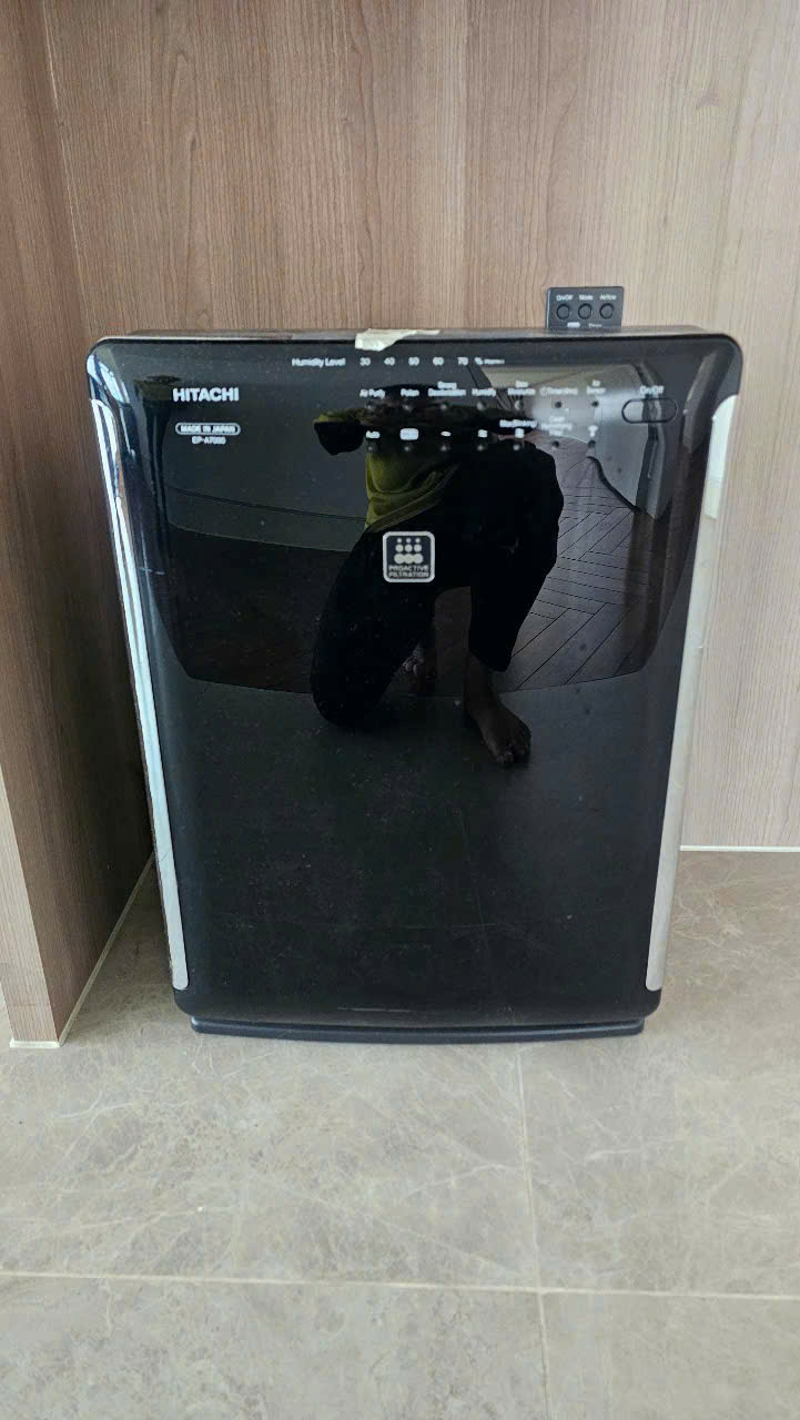 Máy hút ẩm củ SP020638